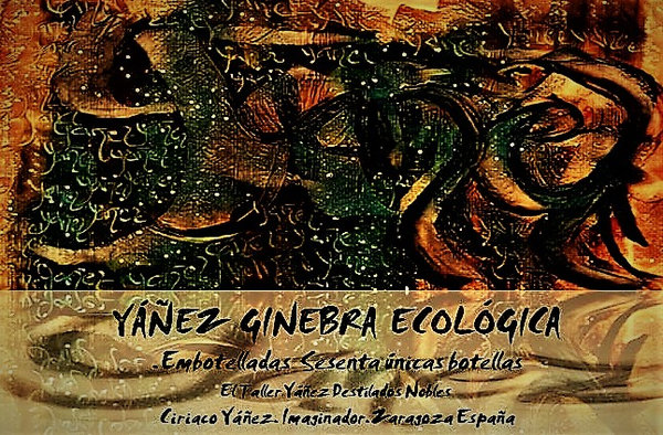 Ginebra Yáñez  ecológica versión nº1