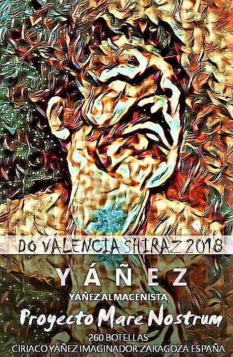 vino tinto YÁÑEZ DO Valencia mare nostrum 2018 shiraz