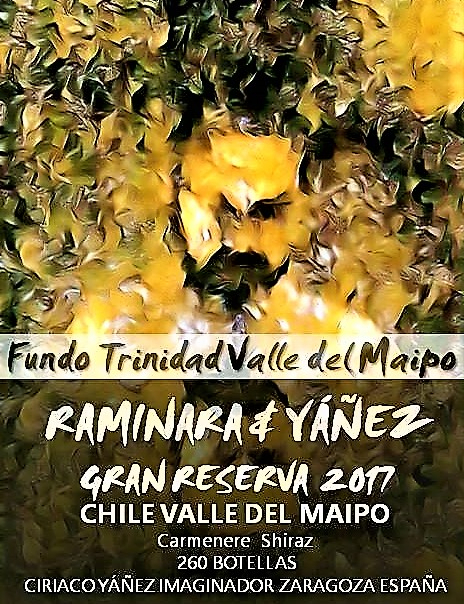 vino YÁÑEZ almacenista CHILE VALLE DEL MAIPO syrah gran reserva 2017