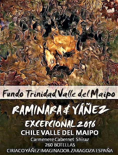vino YÁÑEZ almacenista CHILE VALLE DEL MAIPO excepcional 2016  magnum